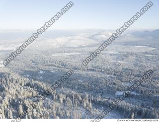 background winter nature forest 0005